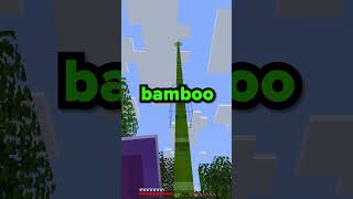 The IMPOSSIBLE Minecraft SMP