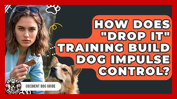 How Does "Drop It" Training Build Dog Impulse Control? - Obedient Dog Guide