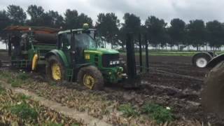 Bloem Bollen Oogsten In Modderige Omstandigheden