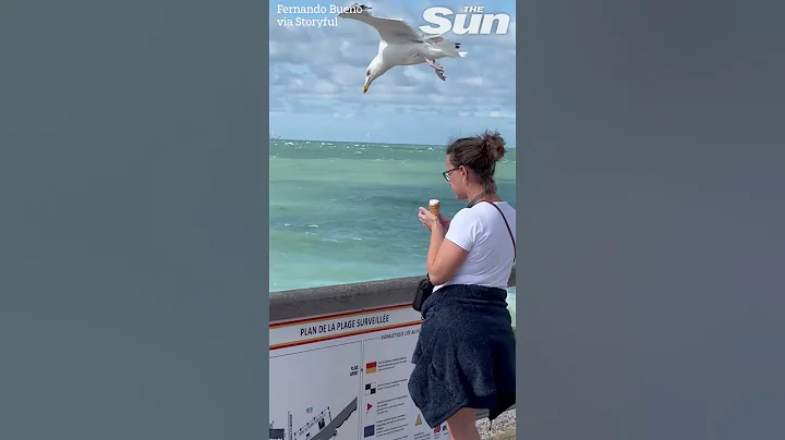 VERY sneaky seagull swipes snack from unsuspecting woman
