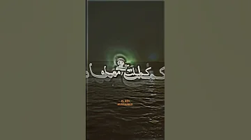 Cheba Werda Galbi Khasah Molah قلبي خصه مولاه Tiktok Lyric Morocco Algerie Song Tiktokvideo 