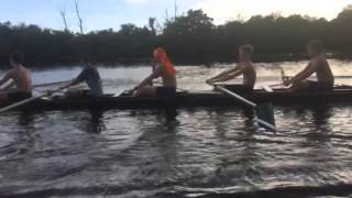 IMG 5930