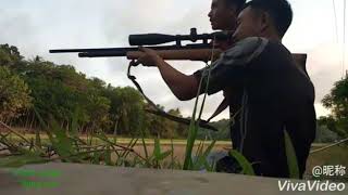 Story WA anak Bawean