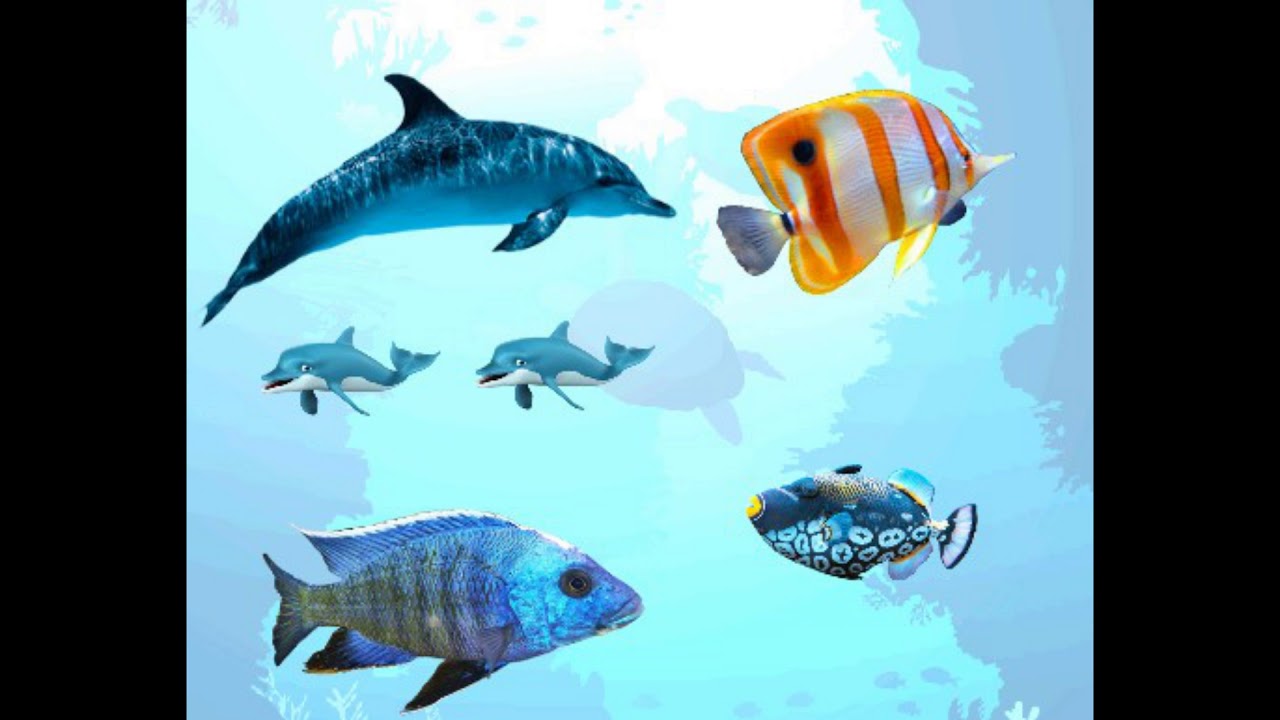 sackboy flow banger remix