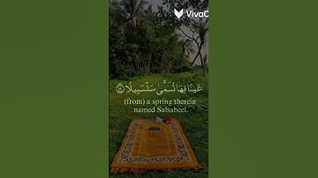 عينا فيها تسمى سلسبيلا 🌿 القارئ محمد اللحيدان 🌿