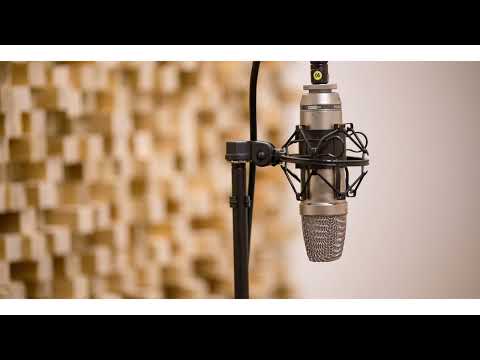 クリープハイプ - 栞 (vocals backing track)