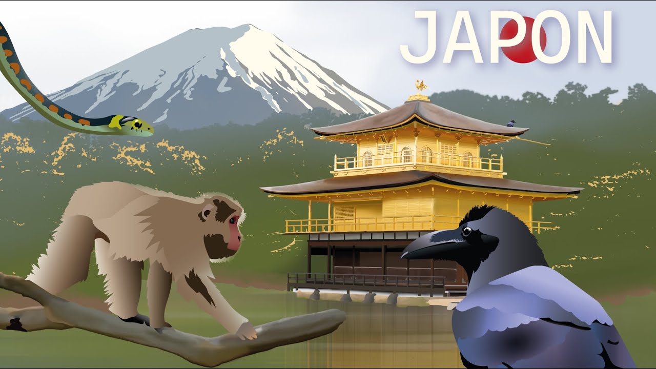 À la découverte des Animaux du Japon