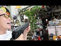 大迫力！CO2デザートイーグルと所さんとマック堺塾