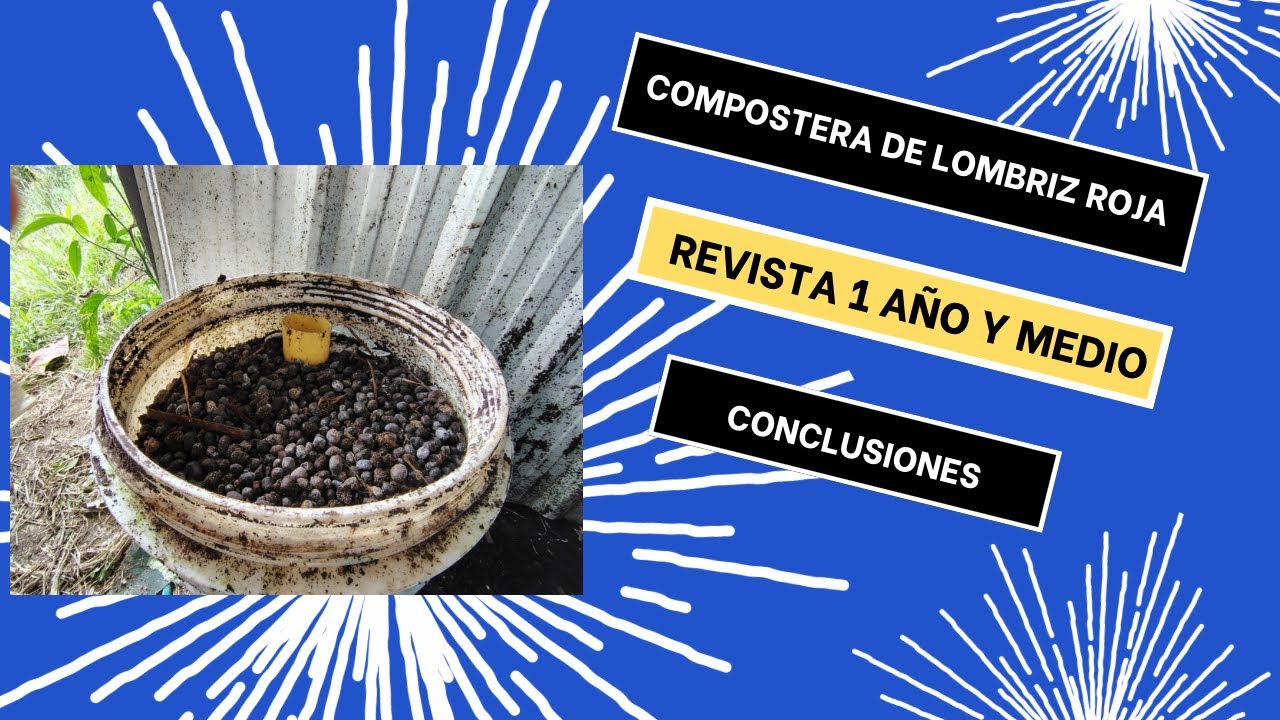 Compostera de LOMBRIZ ROJA CALIFORNIANA revista al año y medio
