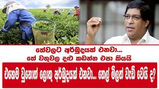 තේවලට අර්බුදයක් එනවා... තේ වතුවල දළු කඩන්න එපා කියයි
