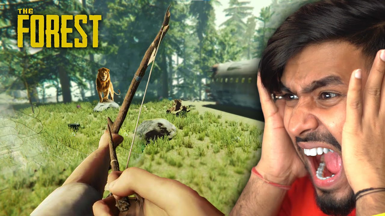 MY FIRST DAY IN THE FOREST