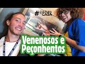 VENENOSOS E PEÇONHENTOS - #PorDentroDoCatavento – Ep33