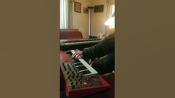 Axolotl Funk 🎨🌻🍷 👀 👉 thefullerzone.com.👈 💥📖🌐 Flash Fiction daily 515+ #piano #synth #funk #fun 🦉🦃🎃🍿🥳