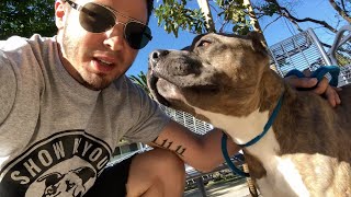 🏡 CHAMP'S FREEDOM VIDEO! 🏡
