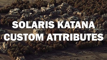 Houdini Solaris and Katana. Custom attributes - ENG