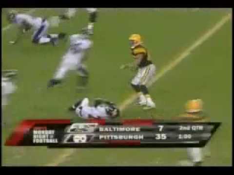 Hines Ward Kills Ed Reed Youtube