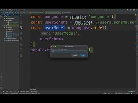 Declaring Node JS user access functions in Data Access Objects for Mongo DB cs5610 sp20 12211