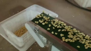 Garlic Colour Sorting Color Sorter Machine New Sorting Results
