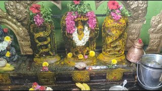 #omnamahshivaya #haraharamahadev #chaganti #pravachanalu #trending #shirts #youtube #like #india