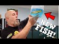 Ordering My Holy Grail Fish Online!! New Fish Added To 240 Gallon Aquarium!
