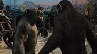 Rise Of The Planet Of The Apes 2011 - Rocket Bullies And Fights Caesar Movie Clip Hd