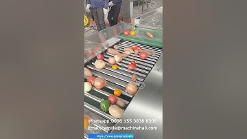 Fruits And Vegetable Grading Sorting Machine
