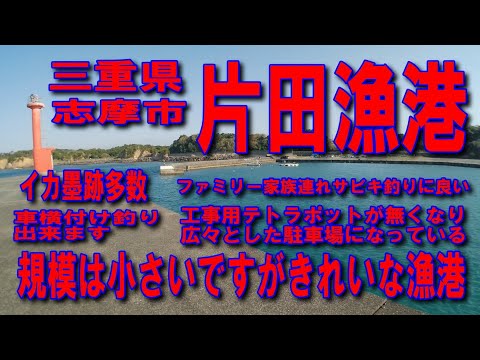 #169三重県片田漁港イカ墨跡多数車横付け釣り出来ます対上交差点国道167号国道260号上部高架道路パールロードゆうやけパール街道ファミリー家族連れサビキ釣りに良道の駅伊勢志摩赤灯台付近はイカ墨跡多数
