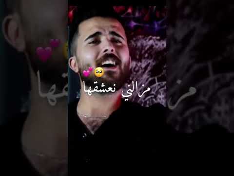 جيبولي عمري أغاني قصيرة أغاني تيك توك