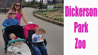 Dickerson Park Zoo – Springfield, Missouri Zoo