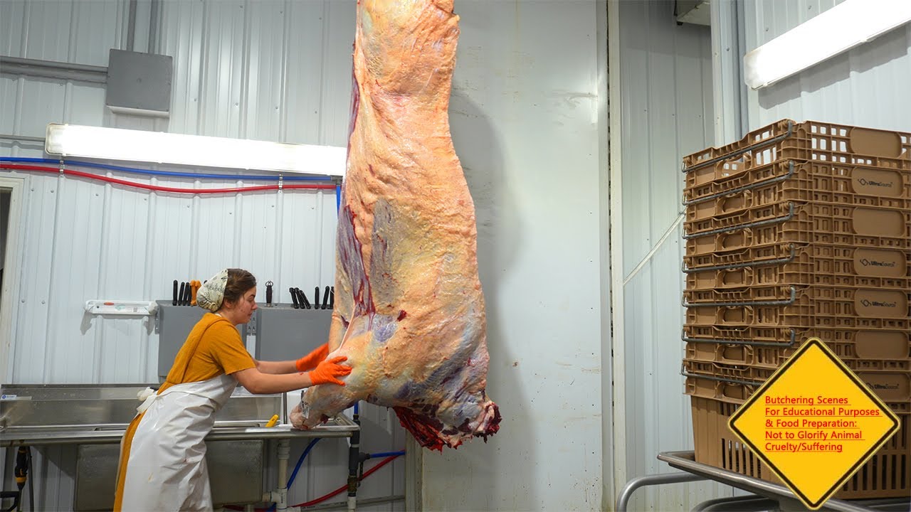 How This Mennonite Family Grows & Process Beef In Kansas 🇺🇸