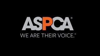 ASPCA on TALK BUSINESS 360 TV