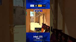 tN1R INSANE SPRAYDOWN #esl #colognemajor #cs2