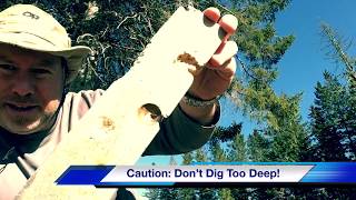 (3 of 9) Preparing a Hearth Board for Bow Drill Fire Making