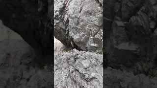 15.6.2019 Cima delle Chenge 2
