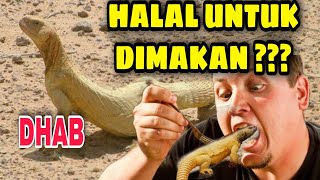 Kadal yang halal untuk dimakan || dhab