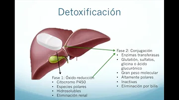 ¿Qué analgésicos pueden dañar el hígado?