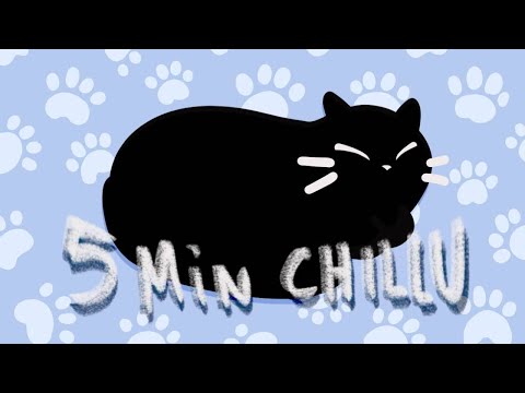 5 minutes of Nike sleeping uninterrupted