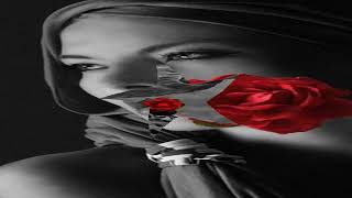 Rode Rozen Van Jan En Zwaan