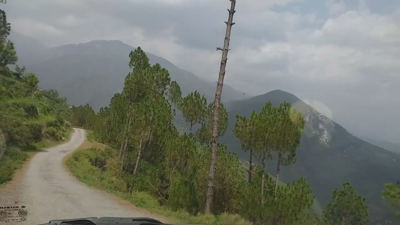 Boh Valley Amazing Destinations In Himachal Pradesh