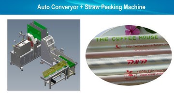 new Automatic line straw packing machine