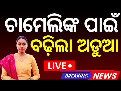 ବିଦା ହେବେ ଚାମେଲି ! Kendrapara Panchayat No-Confidence Case | Court Allows Process | Chameli Ojha