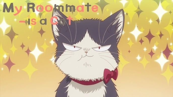 My Roommate is a Cat: um gato pode mudar vidas e estrelar o anime mais fofo  do ano - Elfo Livre