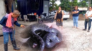 Ahas Na Tumitilaok? Sa San Simon, Pampanga Jtg Kamandag