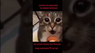 #funny #fypシ #memes #hahaha #tiktok #мем #тренд #грустно #дединсайд #жалко