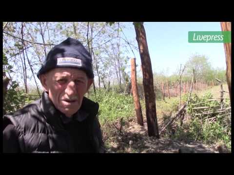 საოკუპაციო ხაზი გადმოწიეს ხურჩაში