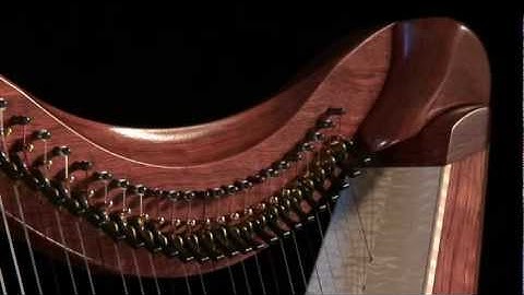 FH36S in bubinga built by Dusty Strings