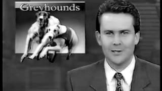 Highly Blessed Greyhound story