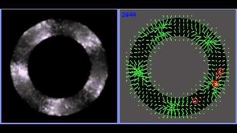 170112 vector field transport 10 cargo particles