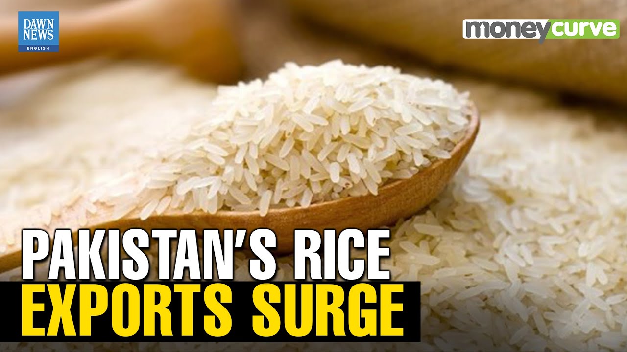 Pakistan Becomes World’s 3rd Largest Rice Exporter in December | Basmati | Dawn News English