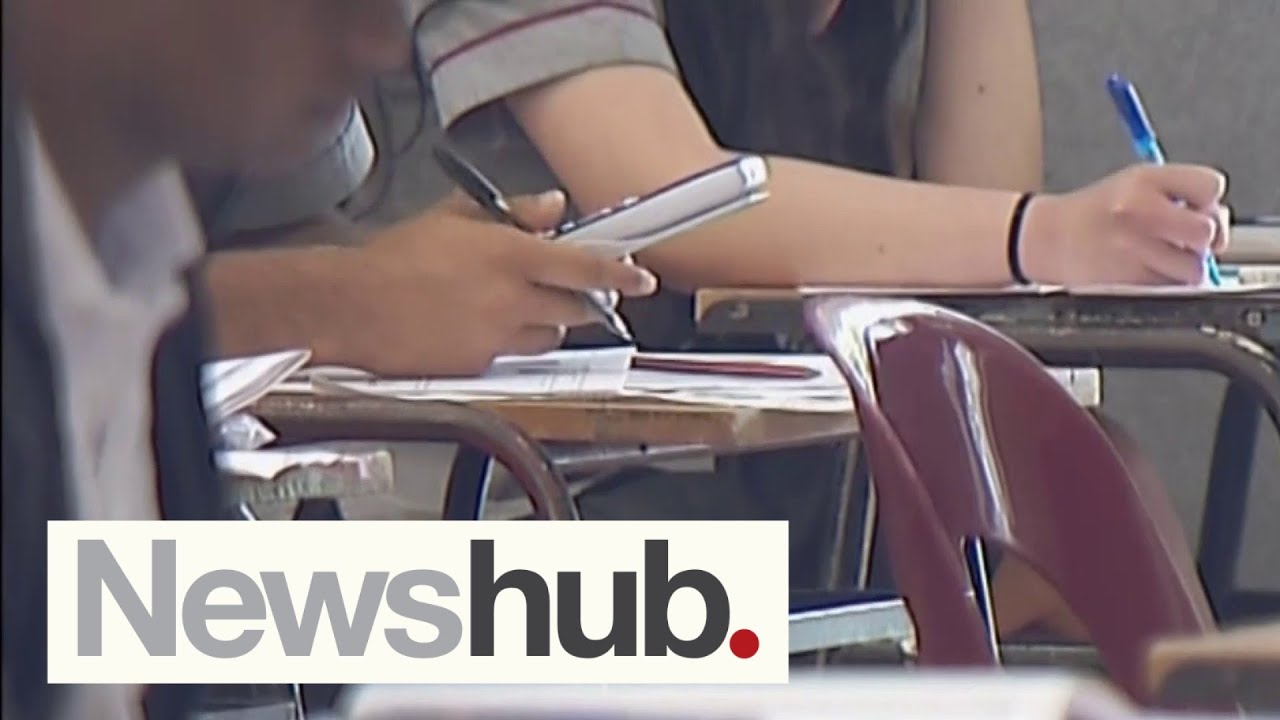 Assessment of literacy and numeracy competency in NZ schools sparks serious concern | Newshub